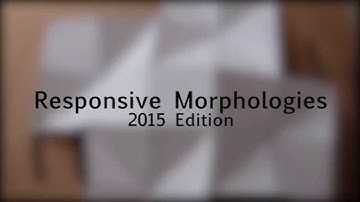 Responsive Morphologies Paper Folding
