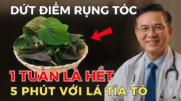 5 Phút tại nhà dứt điểm rụng tóc với lá tía tô, tóc chắc khoẻ phục hồi nhanh gấp 10 lần