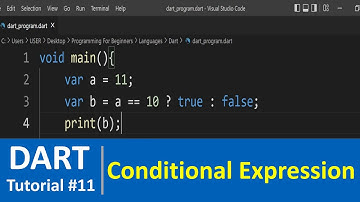 Dart Tutorial #11 - Conditional Expressions in Dart Programming
