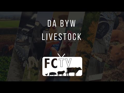 FCTV - Da Byw / Livestock