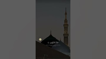 تلاوه هادئه من سوره فصلت  الشيخ احمد بن طالب