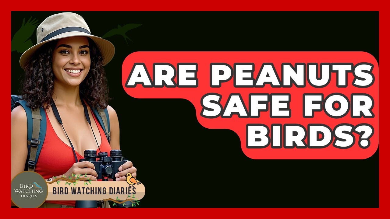 Are Bird Peanuts Safe for Humans: Essential Facts Revealed