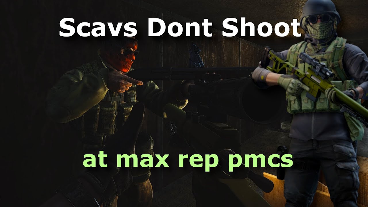 Are rogues hostile to scavs?