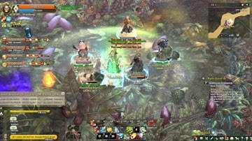Grinding LvL 210 - 230 Alemeth Forest - Tree Of Savior