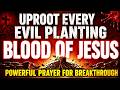 If This Prayer Finds You, Uproot the Evil Plantings Blocking Your Breakthrough!!