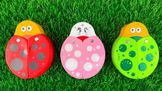 ✨ Satisfying ASMR Ladybug Video 🐞Relax and enjoy this colorful and satisfying ASMR video featuring c