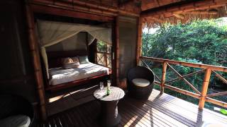 La Selva Final