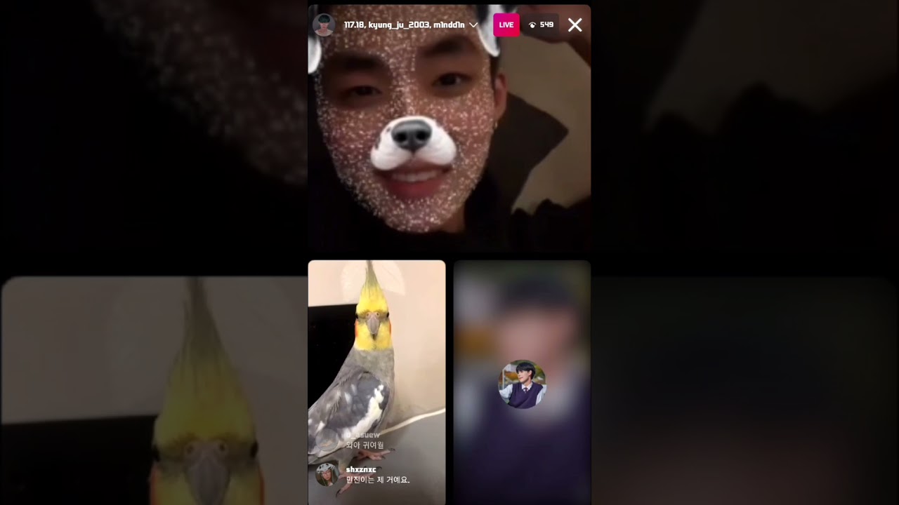 211126 Jaemin live (with Kyungju, Minjin, Haeun, Pilho)