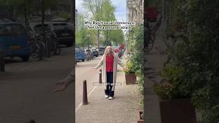 Why Dutch social interactions feel like a personal attack 🤗 #dutchlife #crossculture #expatliving
