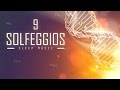 All 9 Solfeggio Frequencies | A Sleep Meditation Music Playlist