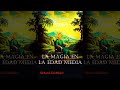 La Magia En La Edad Media : (Ciencias Ocultas, Brujería) Prácticas Mágicas Medievales | Audiolibro