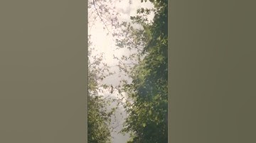 جنة الأرض: جمال الطبيعة وسكينة القرآن (سورة الرحمن) #القرآن_الكريم #rain #آيات_مؤثرة