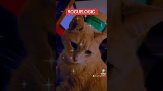 Leopold, King Of Cats