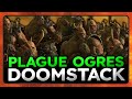 Plague ogres doomstack  total war warhammer 3