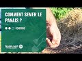 [TUTO] Comment semer le panais ? - Jardinerie Gamm vert