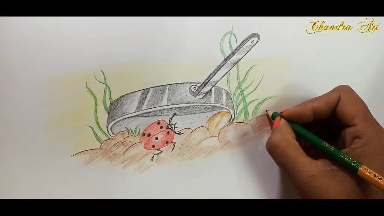 Beginner Color Drawing Easy - img-Bahadur