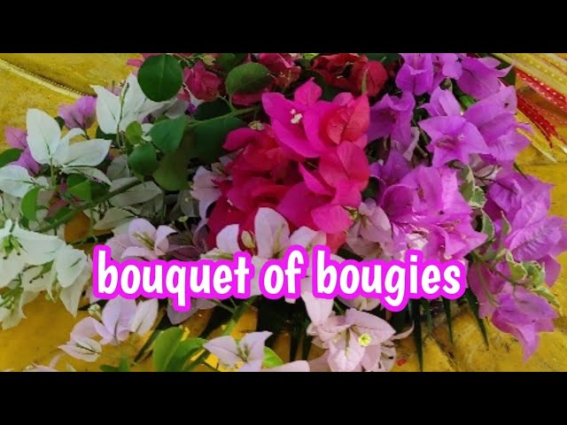 How to make natural Bougainvillea flower petal confetti – Simply Sparkles