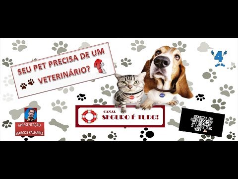 Vídeo: O Que é O Seguro Saúde Para Animais De Estimação?