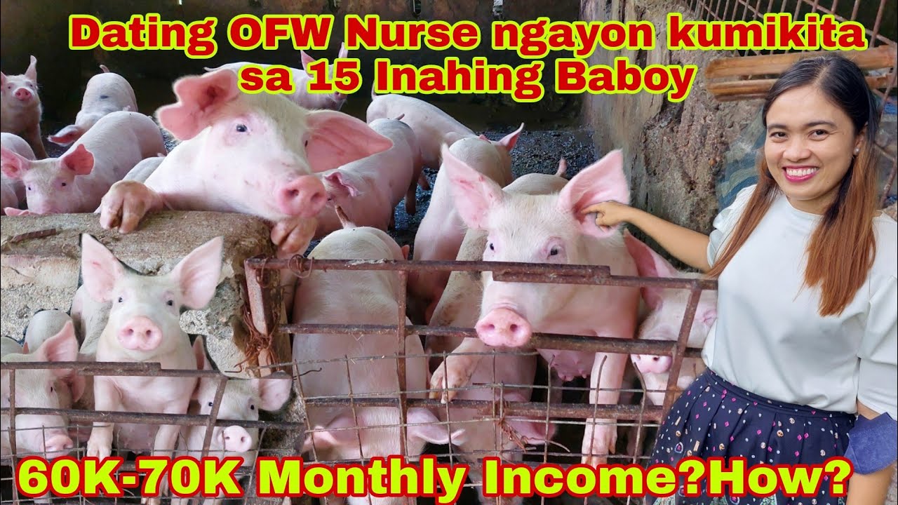 Dating OFW nag Forgood sa Pinas dahil Malakas Kumita ang 15 Inahing Baboy