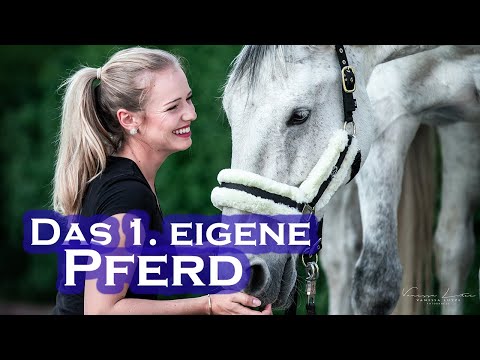 Video: Wie man ein Reitpferd auswählt und kauft