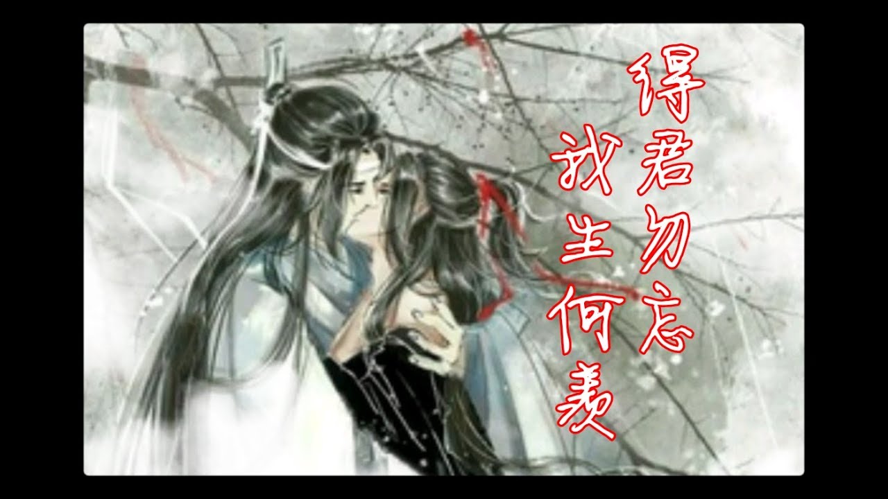 【魔道祖师】《忘羡》 此生何羡（双人向吃糖）