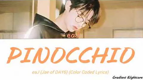 eaJ (Jae of DAY6) - PINOCCHIO (Color Coded Lyrics ENG)