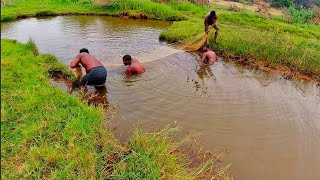 Amazing Asian Net Fishing Video Traditional Fish Catching In Village River Fishing By Net