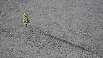 The MOST NEGLECTED Button in Lightroom