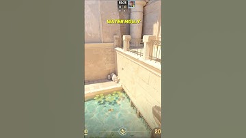 Water Molly Anubis CS2 #shorts