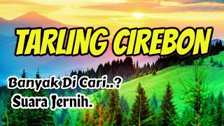 Download lagu LAGU TARLING CIREBON MP3 TERBAIK PALING BANYAK DI CARI DI 2026