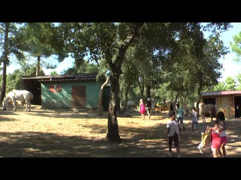 Video-thumbnail van Camping Domaine de La Bergerie
