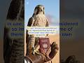 InterestingFacts #CrazyFacts #PalmJumeirah #BurjKhalifa #DubaiLife #ViralShorts #YouTubeShorts