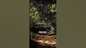 🌿تلاوة من سورة العنكبوت 🌿القارئ ياسر الدوسري 🌿 #اسلام #القرآن_الكريم #راحة_نفسية  #ياسر_الدوسري