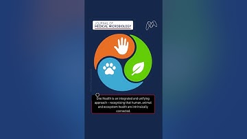 Communicating and disseminating One Health: successes of the One Health European Joint Programme