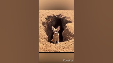 القرآن الكريم #اكسبلور سورة الجمعة
