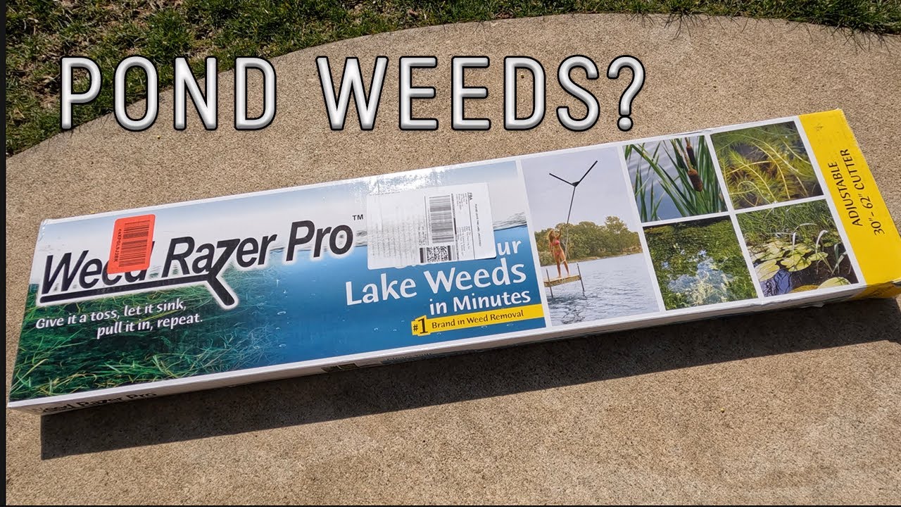 How to Remove Cattails and Weeds from Pond or Lake Shoreline - Easy Weed Removal with Weed Razor