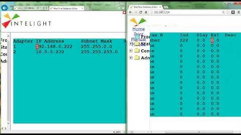 Intelight 204 Maxtime Peer to Peer