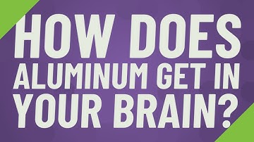 How does Aluminum get in your brain?