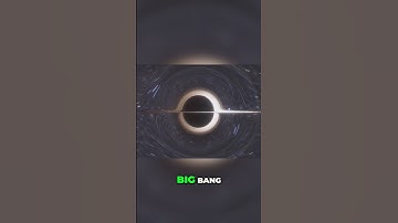 Revolutionizing Quantum Gravity: Unveiling Primordial Black Holes