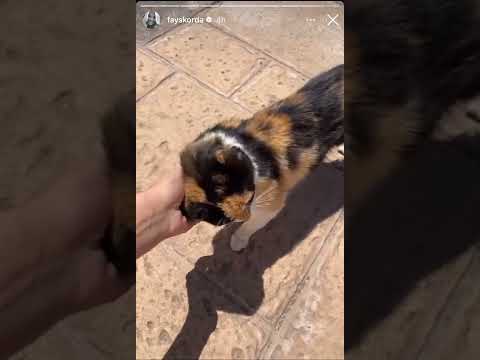 Η Φαίη Σκορδά