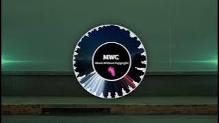 Julius Dreisig & Zeus X Crona - Invisible [Music Without Copyright]