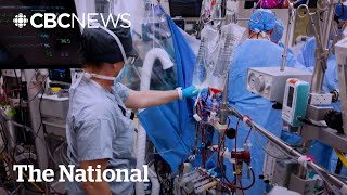 Quebec cardiologists warn staff shortages could lead to delays, deaths
