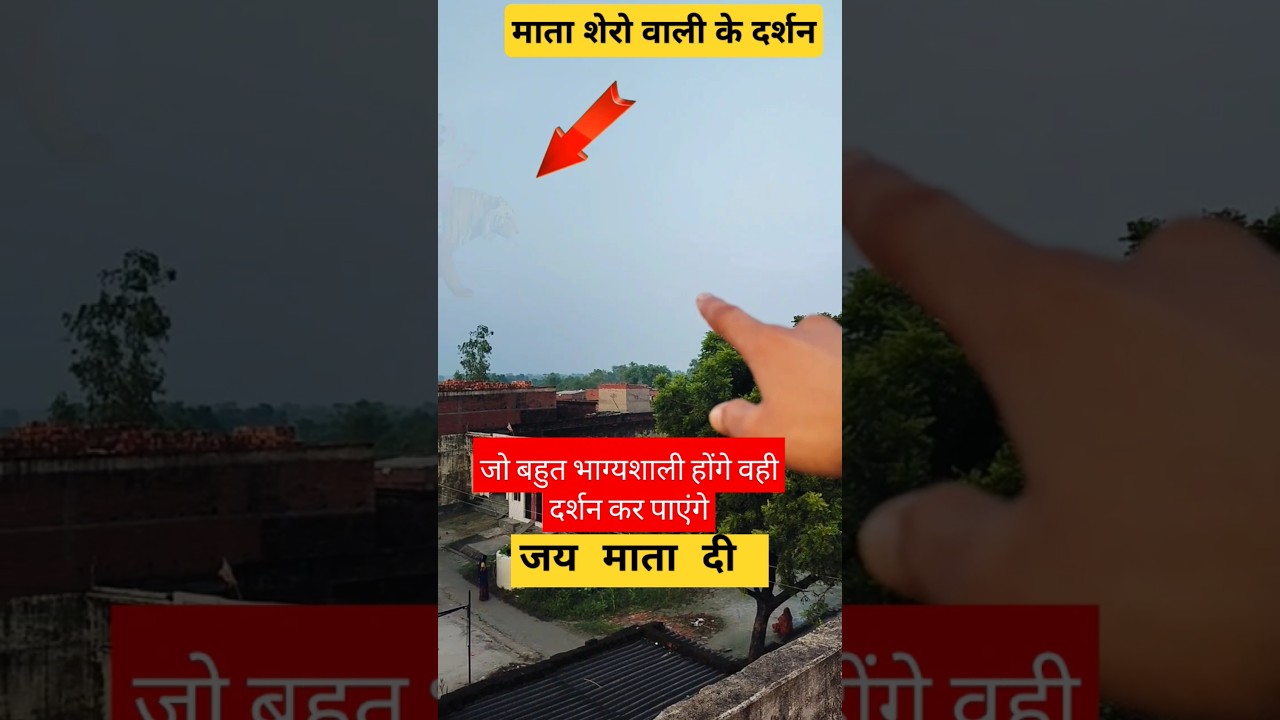 Maiya shero wali ke darshan🙏🙏#maiya #sherowali #navratri #shorts #youtubeshorts #shortsfeed #shorts