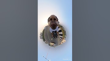 Funny nose with insta 360 #funny#noseprank#insta#360#noseprank#funnyinsta#360shorts