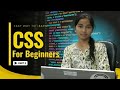 CSS Box Model Explained in Hindi | Complete Guide from Beginner to Advanced | Coder Saheli (PART-3)