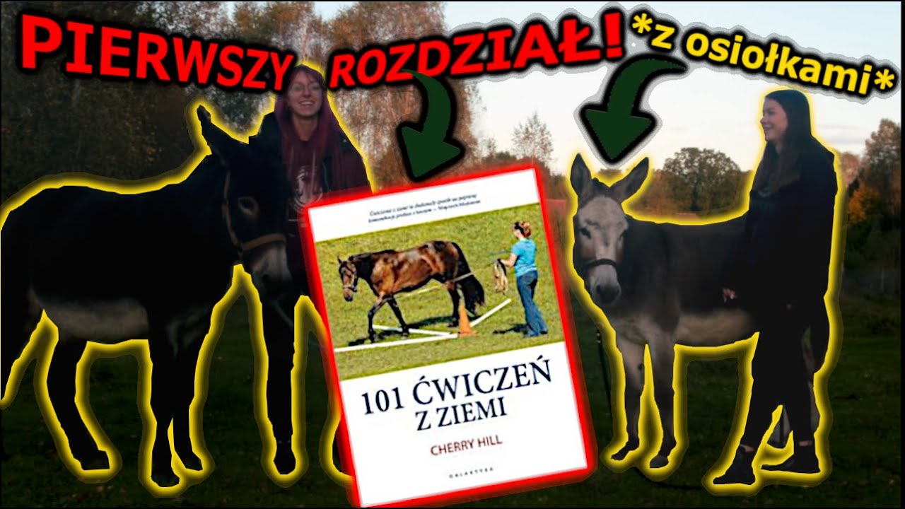 ODTWARZAMY ĆWICZENIA Z KSIĄŻKI „101 ćwiczeń z ziemi”! 😱😍 - YouTube