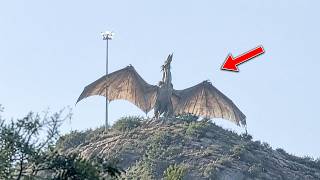 They Zoomed In on This Brazilian Hill… And Saw Something That Shouldn’t Exist!