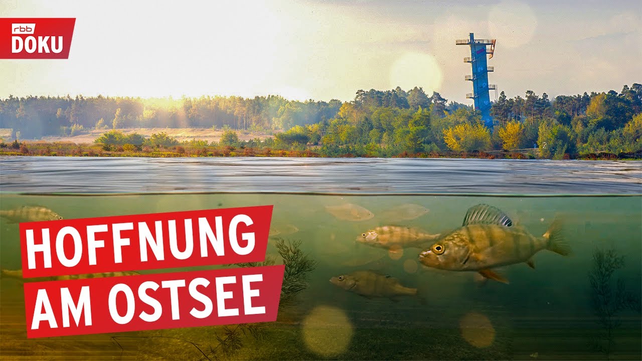 Der Ostsee - Brandenburgs größter See entsteht | Doku