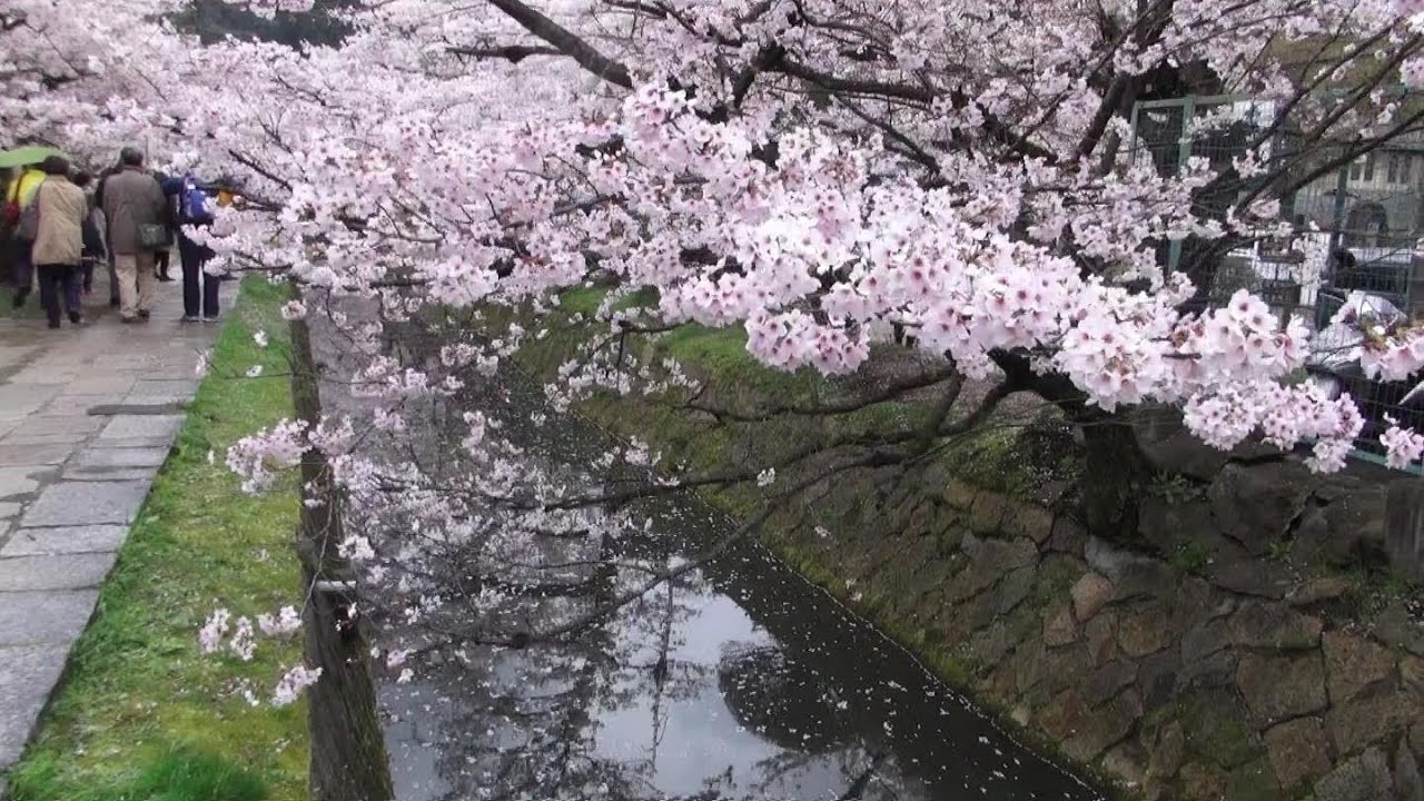 Free Video Effects Photo Frames Tutorials Directorzone