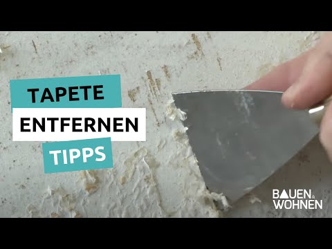 Tipps Tapeten entfernen - So bekommst Du die alte Tapete oder die alte Raufaser von der Wand